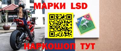 spice Гудермес