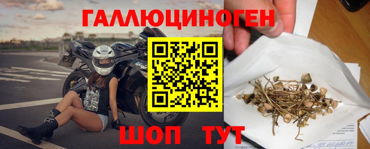 Галлюциногенные грибы мицелий  Вход с VPN  Псилоцибиновые грибы Psilocybine cubensis  хочу   Сыктывкар 